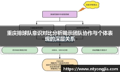 重庆排球队意识对比分析揭示团队协作与个体表现的深层关系